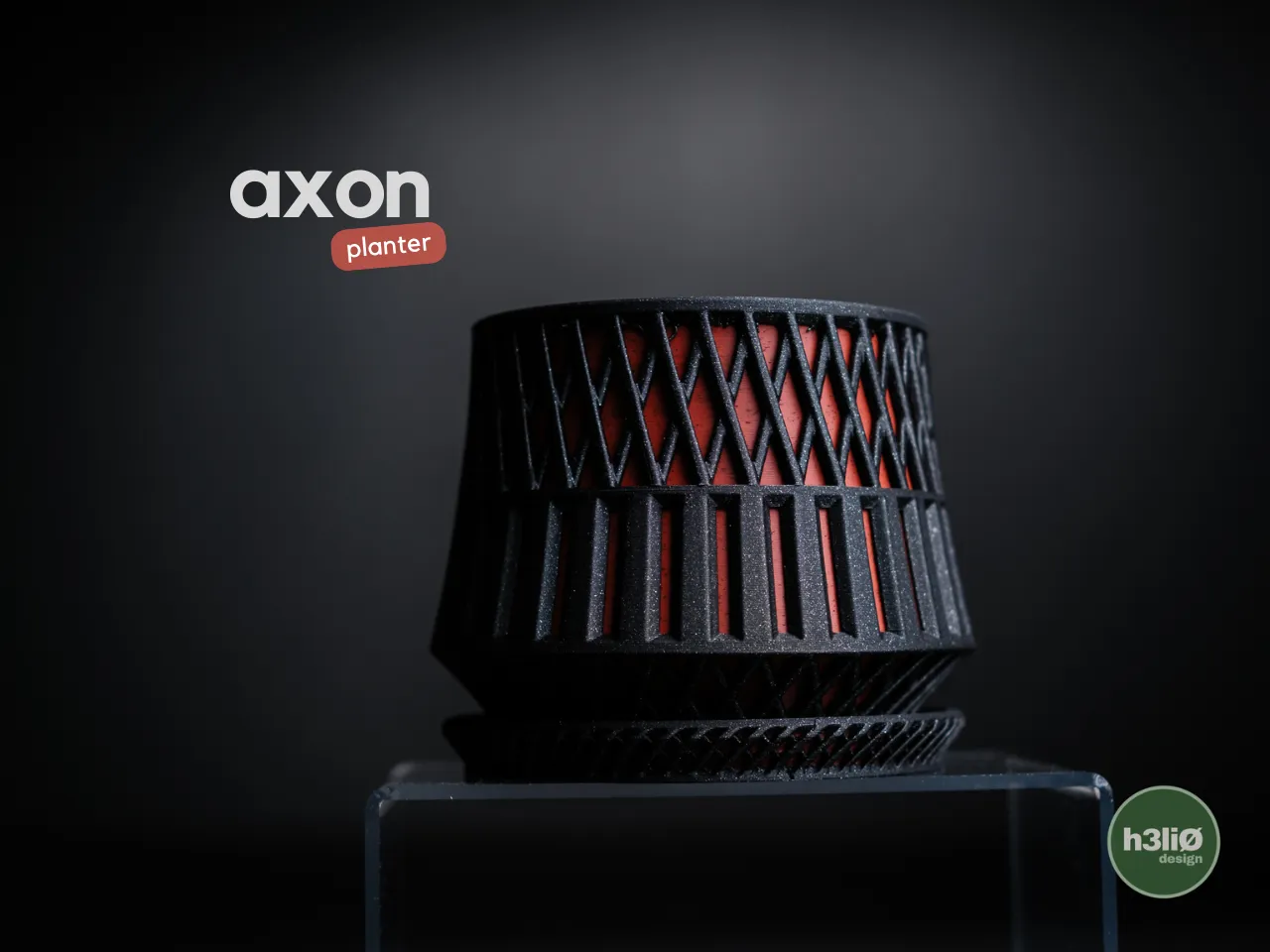 vaso axon