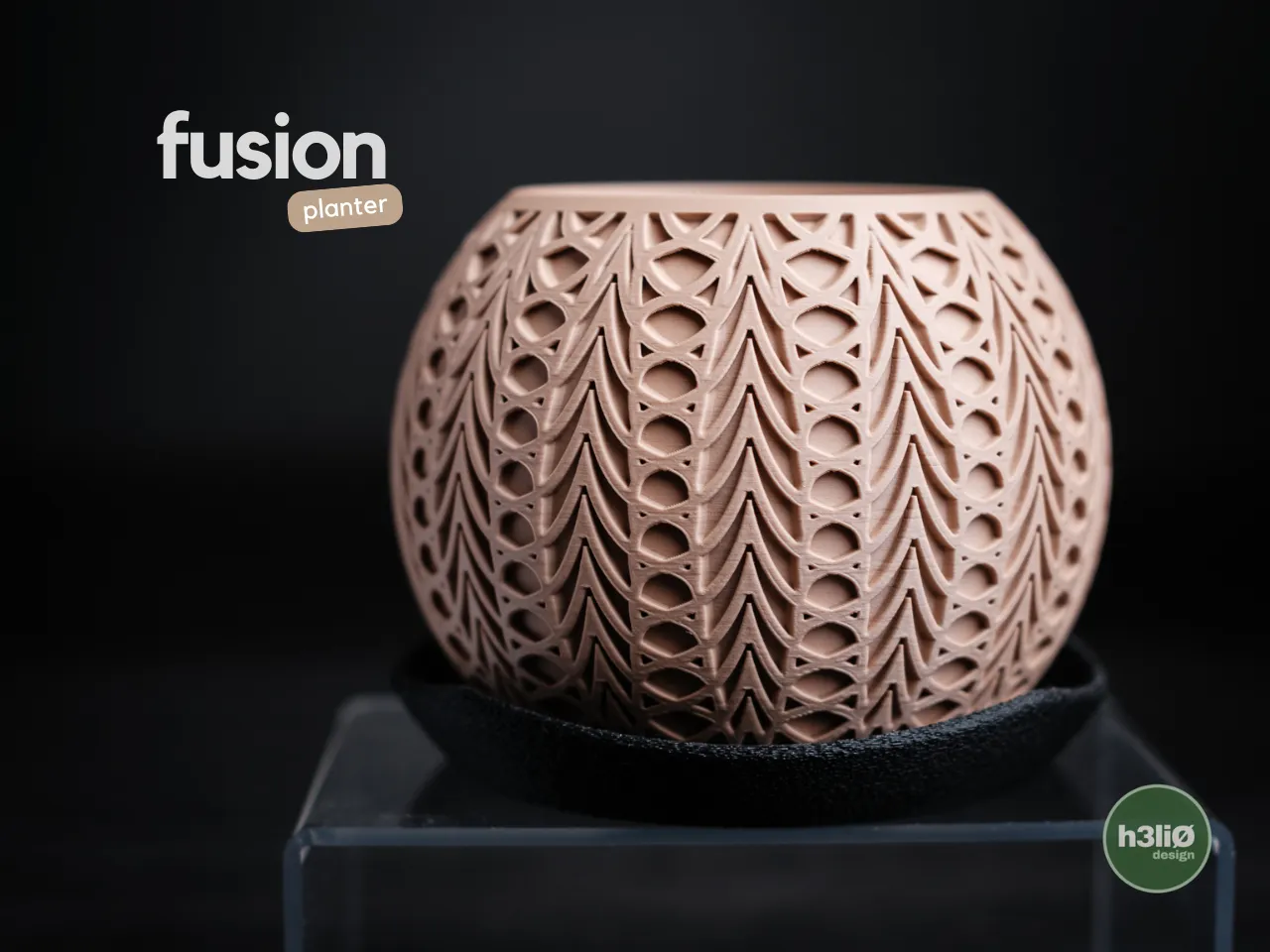 vaso fusion